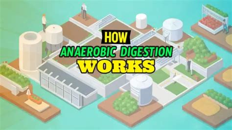 How Does an Anaerobic Digester Work: Explaining Biogas Production Process