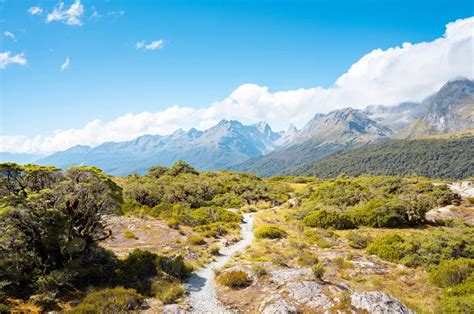 Key Summit Track Randonnée dans le Parc national du Fiordland