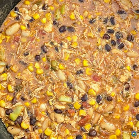 Easy Chicken Black Bean Chili Recipe