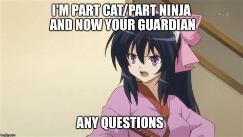 Anime Questions