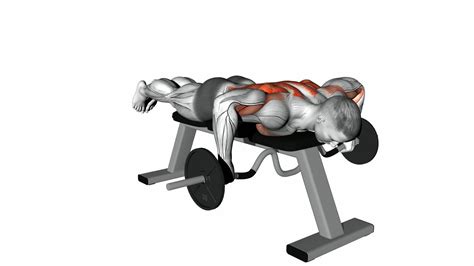 Cambered Bar Lying Row Video Guide And Tips