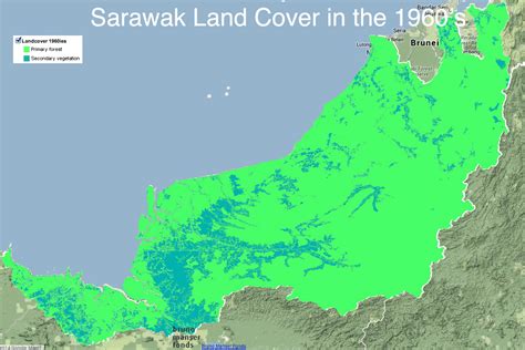 New Forest Map for Sarawak Reveals Large-Scale Deforestation ...