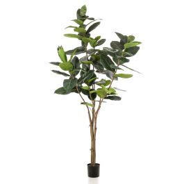 Acheter Des Ficus Elastica Artificiel FERIA Tronc Artificiel Vert 210cm