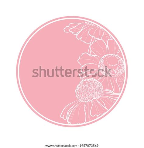 Pink Silhouette Flowers Helenium Pink Circle Stock Vector Royalty Free
