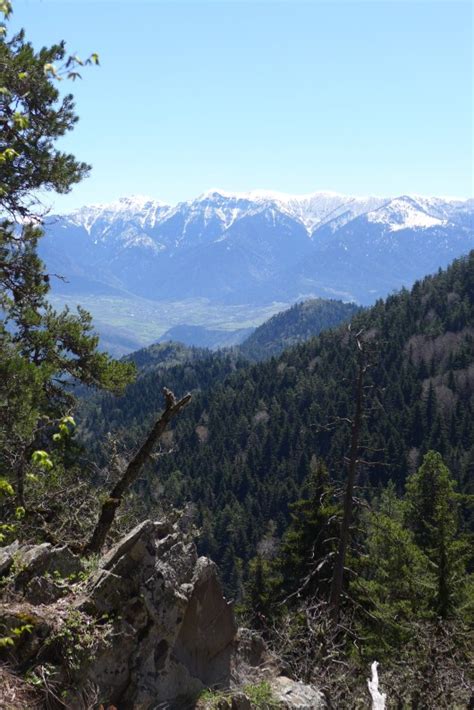 Borjomi National Park: Panorama Trail | thechapdaddy.com