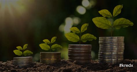 4 Best Financial Tips To Grow Your Wealth Kredx Blog