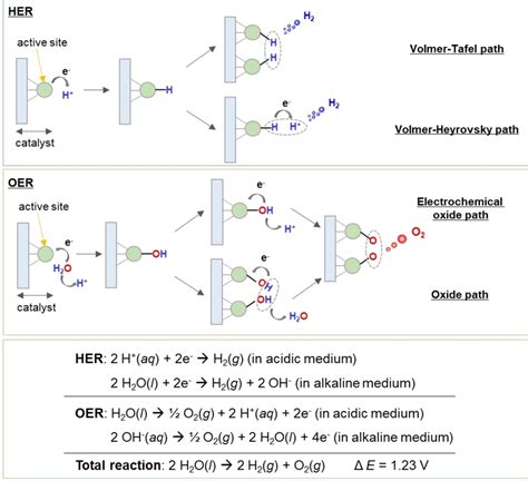 Prevailing Mechanism Of Electrochemical Water Splitting Reactions