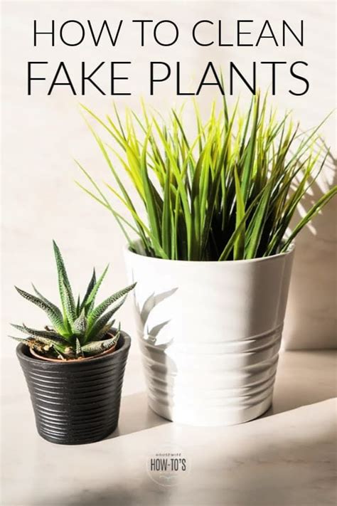 How To Clean Fake Plants Remove Dust And Grime While Preserving The