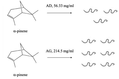 Ijms Free Full Text Comparative Transcriptome Analysis Of The