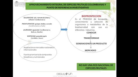 Red Nacional Para La Bioprospecci N De Frutas Tropicales Rifrutbio