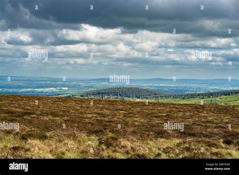 View Over Bog And Heathland On Top Of Wolftrap Mountain Slieve Bloom