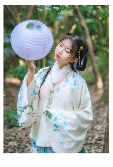 Traditional Chinese Hanfu Type Aoqun 袄裙