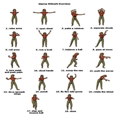 Qigong Shibashi Exercises Healthy Fitness Training Different Qigong