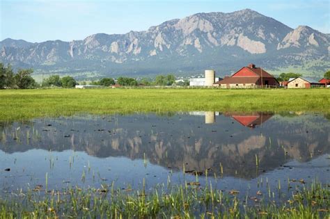 How to Strategically Invest in Land Real Estate | Land.com 