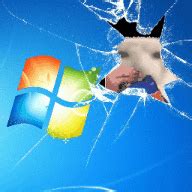 Живые обои Кот ест чипсы, Windows 7 скачать на VSThemes.org