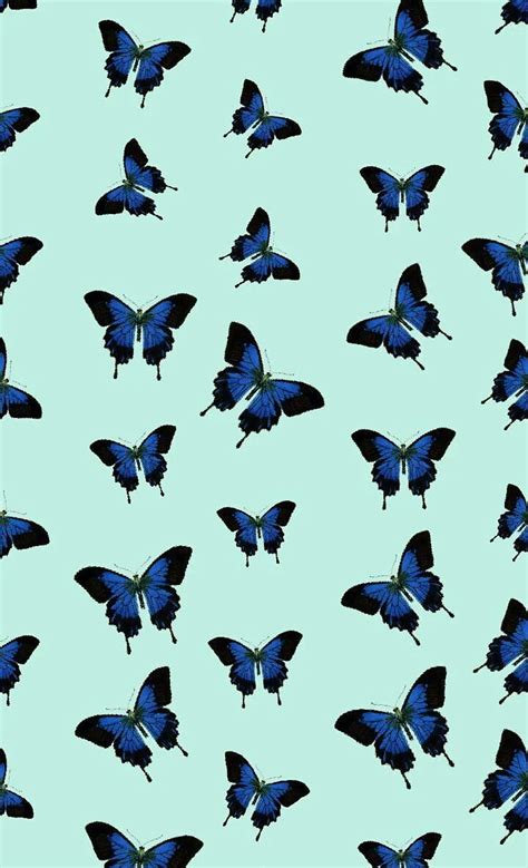 Lock Screen Butterfly Orange Aesthetic Butterfly Blue Aesthetic