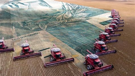 BrasilAgro vende fazenda na Bahia por R 364 milhões The Agribiz