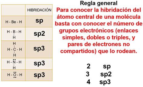 Practicando hibridación con Science Geek Net