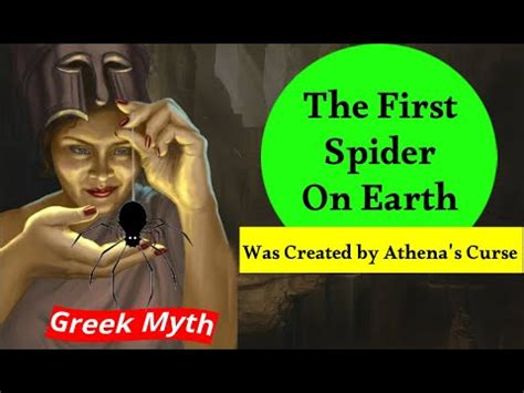 The First Spider On Earth Was Created By Athena S Curse Spider