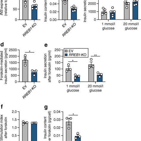 RREB1 Knockout Reduces Cellular Insulin Content In Mature Beta Cells