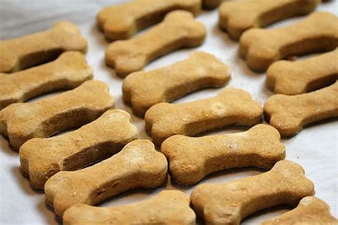 Homemade Pumpkin And Peanut Butter Dog Treats Recipe Cullys Kitchen