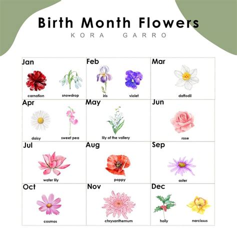 December Birth Flower - Named Flower Blanket | Kora Garro