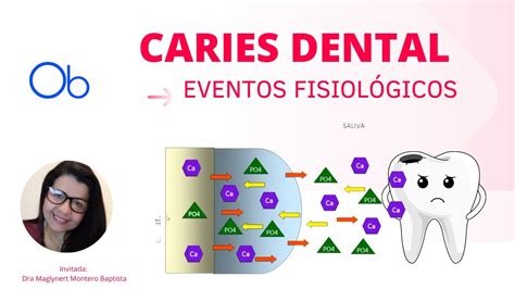 Caries Dental Eventos fisiológicos YouTube