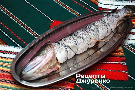 Фаршированная щука