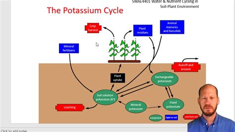 Soil Potassium And Plant Nutrition Youtube