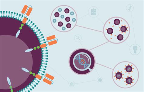 Maximizing Process Control And Efficiency In Car T Cell Manufacturing