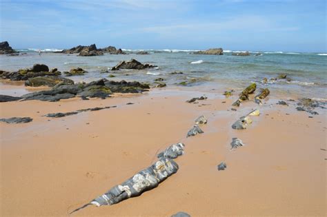 Alentejo Tem Mais Tr S Praias Bandeira Azul Todas No Concelho De