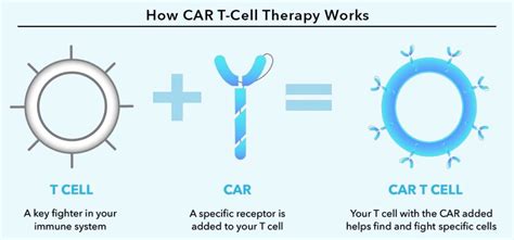 CAR T Cell Therapy Cost in India | CAR T Cell Therapy in India