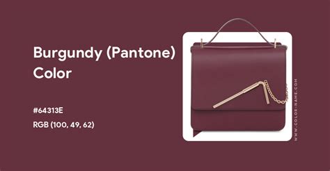 Burgundy Pantone Color Hex Code Is 64313e