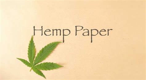 Hemp Paper - Cannabis Museum Amsterdam