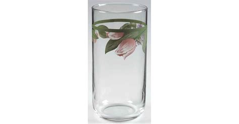 Garden Party Garden Impressions 12 Oz Glassware Tumbler By