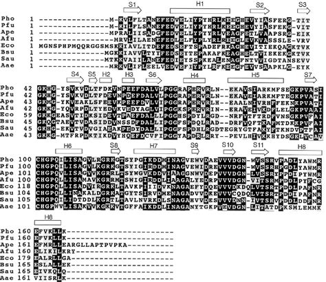 Figure From Crystal Structure Of An Intracellular Protease From