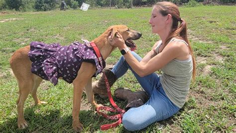 La Figlia Muore Per Salvare Un Cane In Strada La Madre Realizza Un