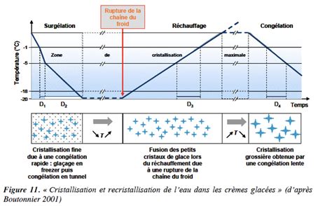 Alexis Peaucelle Enseignement IJPB