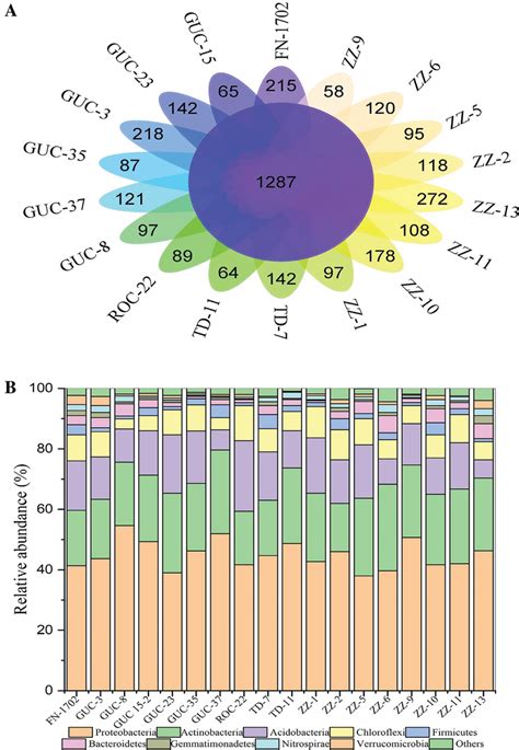 Otu Classification And Relative Abundance A Venn Diagram Representing