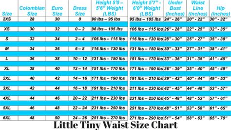 Training Corsets | Plus Size Waist Cincher | Cincher Corset – Little Tiny Waist LLC