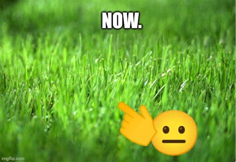 Now Meme With Emoji Blank Template Imgflip