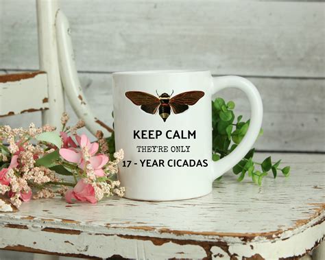 Cicada Bug Cicada Keep Calm Theyre Only 17 Year Cicadas Etsy