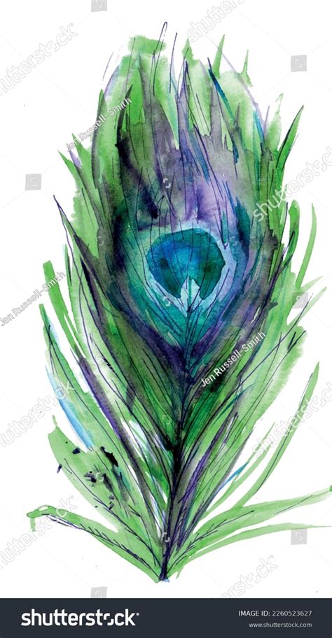 Purple Peacock Feather Drawing