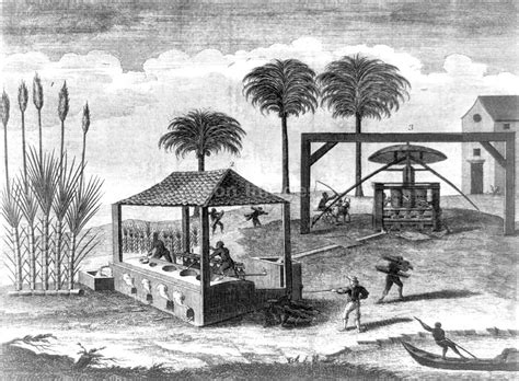 Eon Images Th Century Print Of Sugar Cane Processing