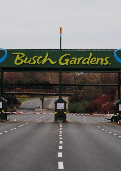 Busch Gardens Williamsburg Fan Casting
