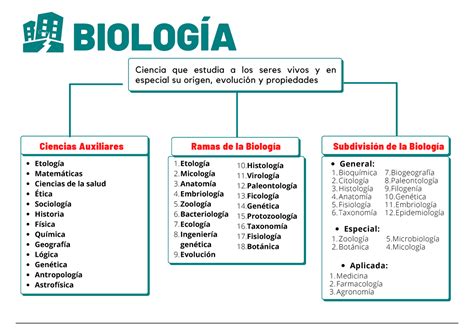 Biolog A Biolog A Ciencias Auxiliares Ramas De La Biolog A