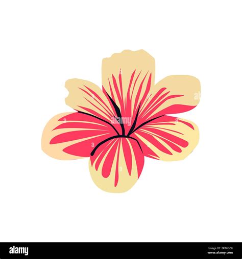 Hibiscus Flower Vector Illustration In Flat Style Isolated On White Background Stock Vector