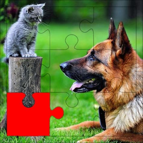 Dog & Cat Puzzles - Apps on Google Play