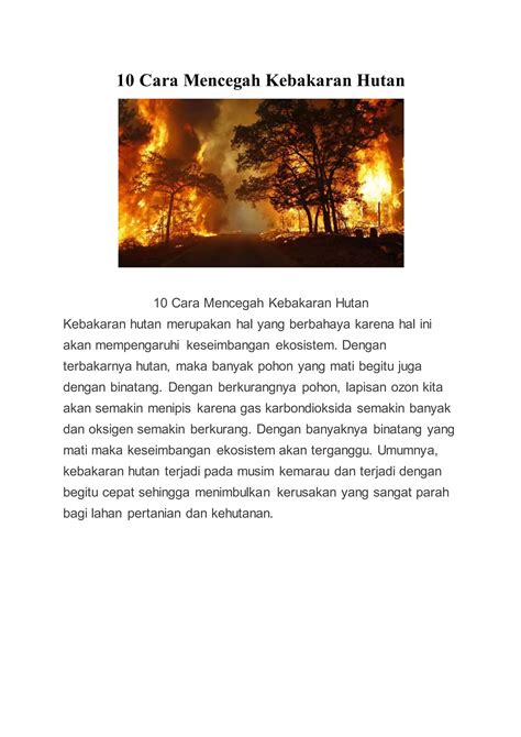 10 Cara Mencegah Kebakaran Hutan PDF