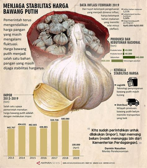 Menjaga Stabilitas Harga Bawang Putih Infografik Antara News